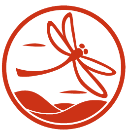 Energiepraxis